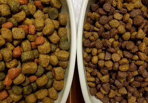Rachel Ray Nutrish Chicken and Veggies dry kibble used to test slow feed dog bowls.