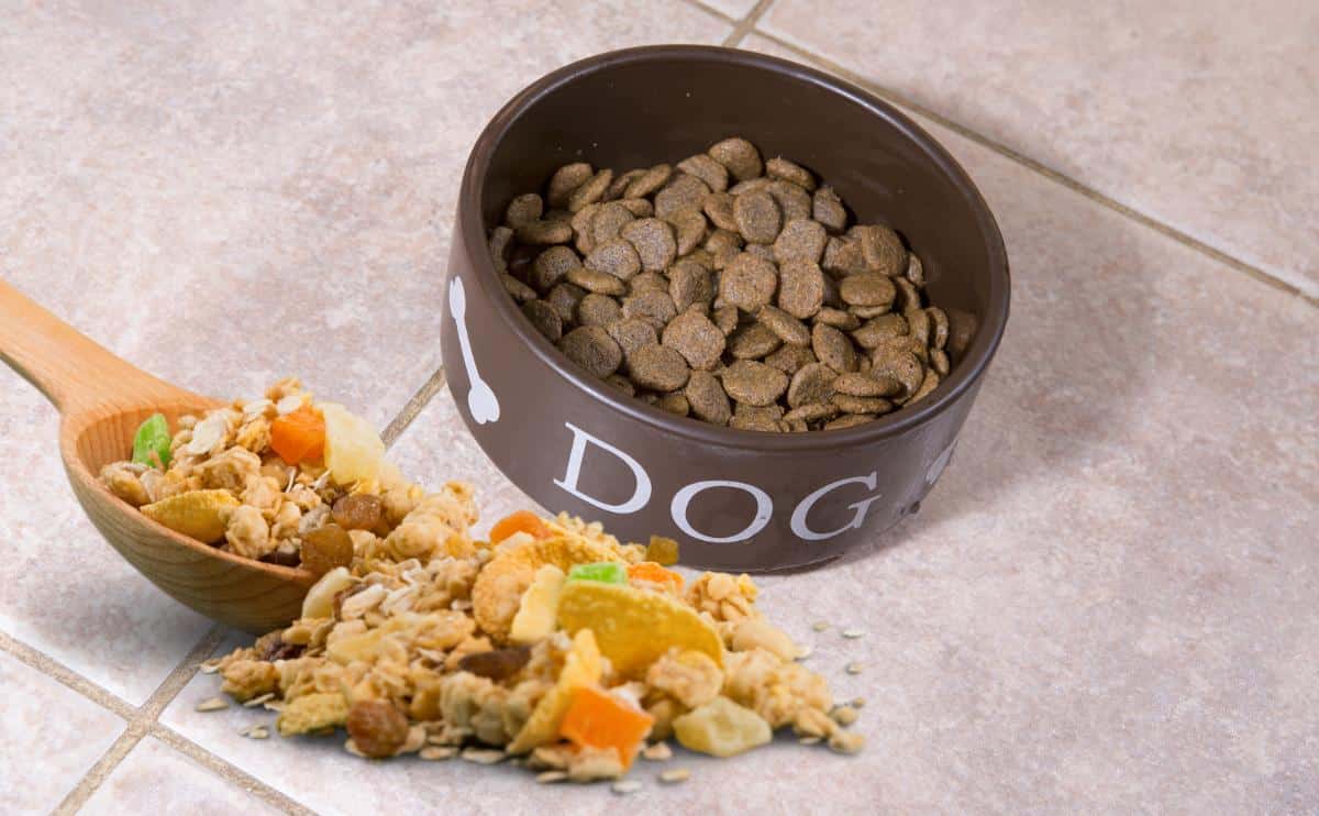 Dog food bowl with spoon of fiber.