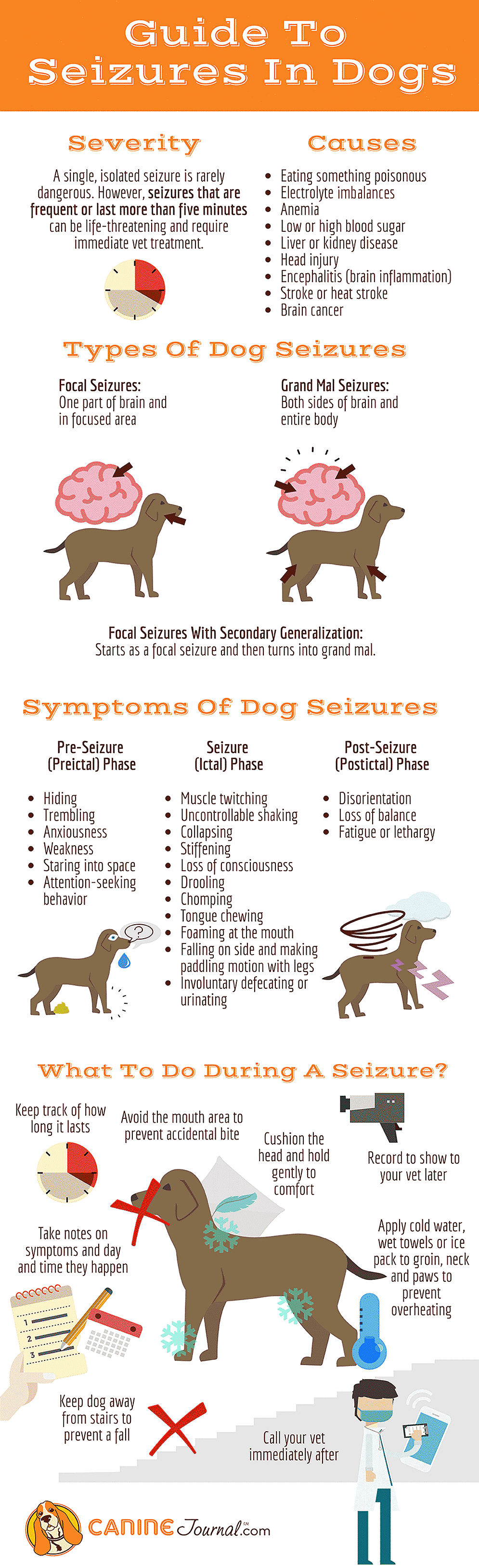 Dog Seizures Infographic