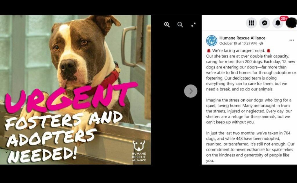 Humane Rescue Alliance social media screenshot.
