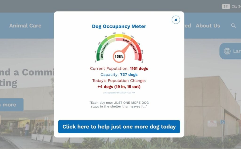 la animal services website screenshot jpg