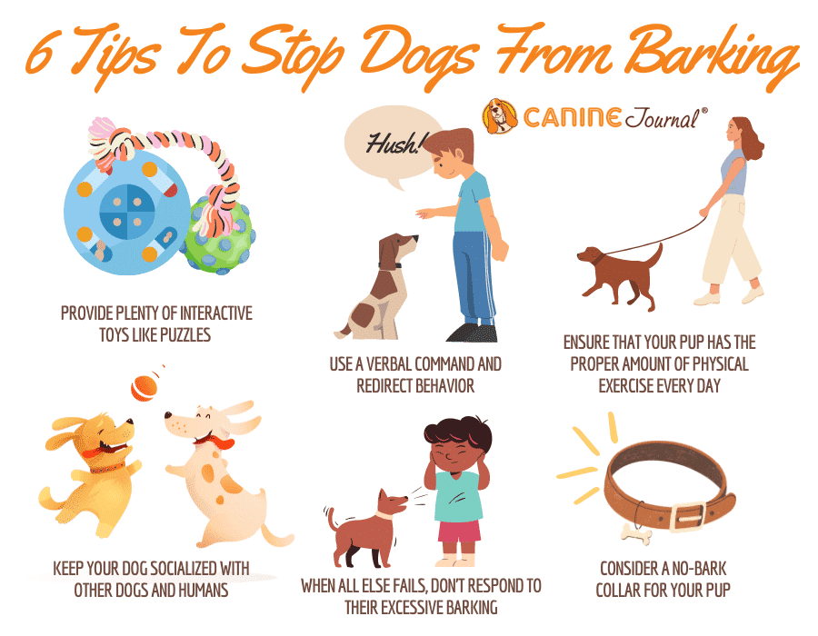 Tips to stop dogs from barking infographic.