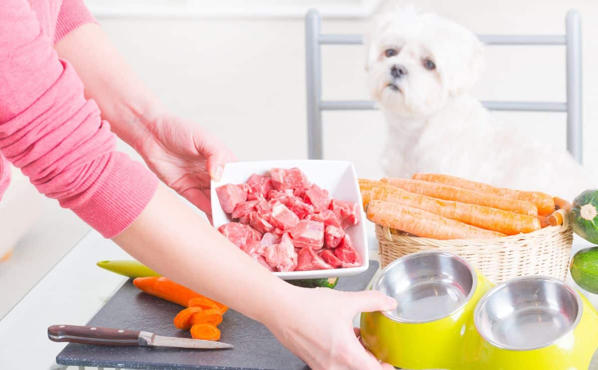 Woman preparing human-grade dog food at home chopping fresh food and dog watching.